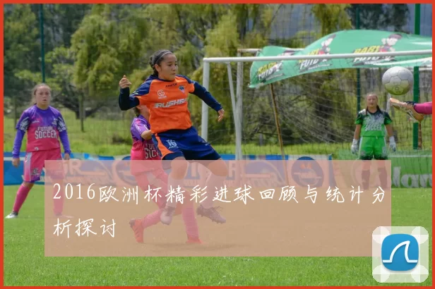 2016欧洲杯精彩进球回顾与统计分析探讨