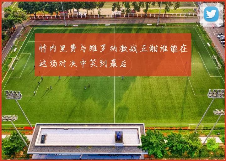 特内里费与维罗纳激战正酣谁能在这场对决中笑到最后
